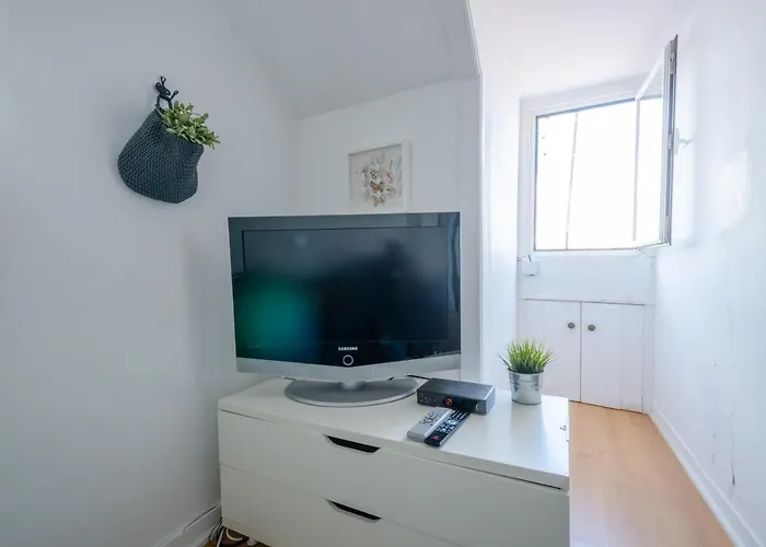 118 D - Avenida Roof